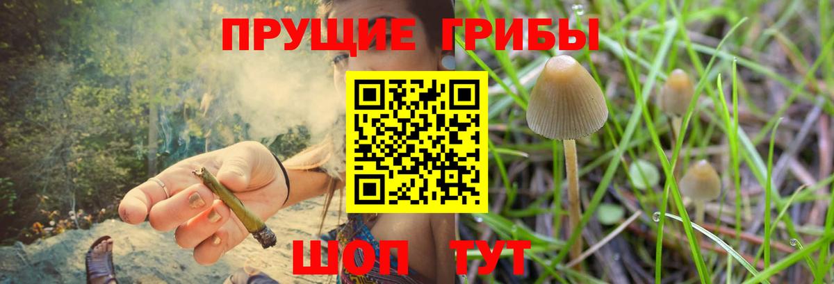 Галлюциногенные грибы GOLDEN TEACHER  Вход с VPN  Лыткарино  Псилоцибиновые грибы Magic Shrooms 
